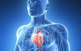 ITEM 25 – ENDOCARDITES INFECTIEUSES