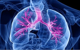 ITEM 07 – ASTHME DE L’ADULTE ET DE L’ENFANT