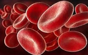 ITEM 03 – ANÉMIES