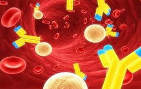 ITEM 30 – ÉTATS SEPTIQUES GRAVES