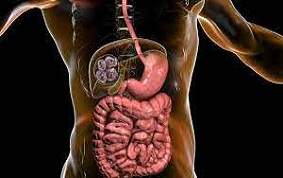 ITEM 36 – HYDATIDOSES PULMONAIRES