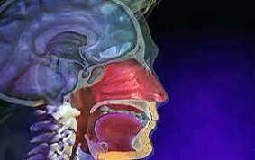 ITEM 42 – INFECTIONS DES VOIES AÉRIENNES SUPERIEURES