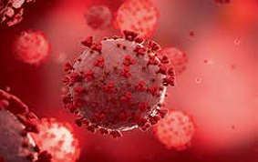 ITEM 44 – INFECTIONS SEXUELLEMENT TRANSMISSIBLES