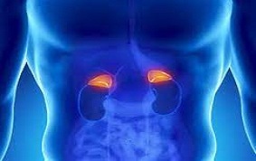 ITEM 47 – INSUFFISANCES SURRÉNALIENNES AIGUËS