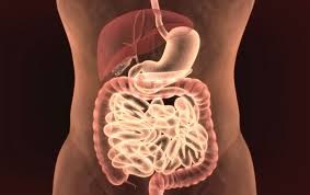 ITEM 54 – OCCLUSIONS INTESTINALES AIGUËS