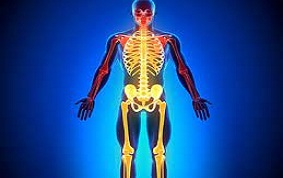 ITEM 59 – POLYTRAUMATISMES