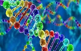 ITEM 60 – PRÉ-ÉCLAMPSIES ET ÉCLAMPSIES