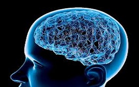 ITEM 63 – SCHIZOPHRÉNIES