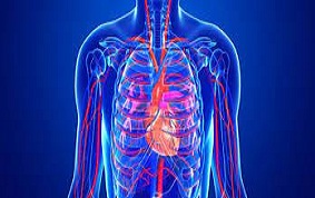 ITEM 38 – HYPERTENSION ARTERIELLE